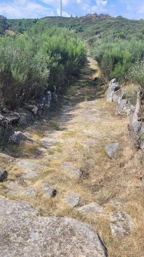 Casinhas Da Eira Caramulo Turismo Rural Arca المظهر الخارجي الصورة