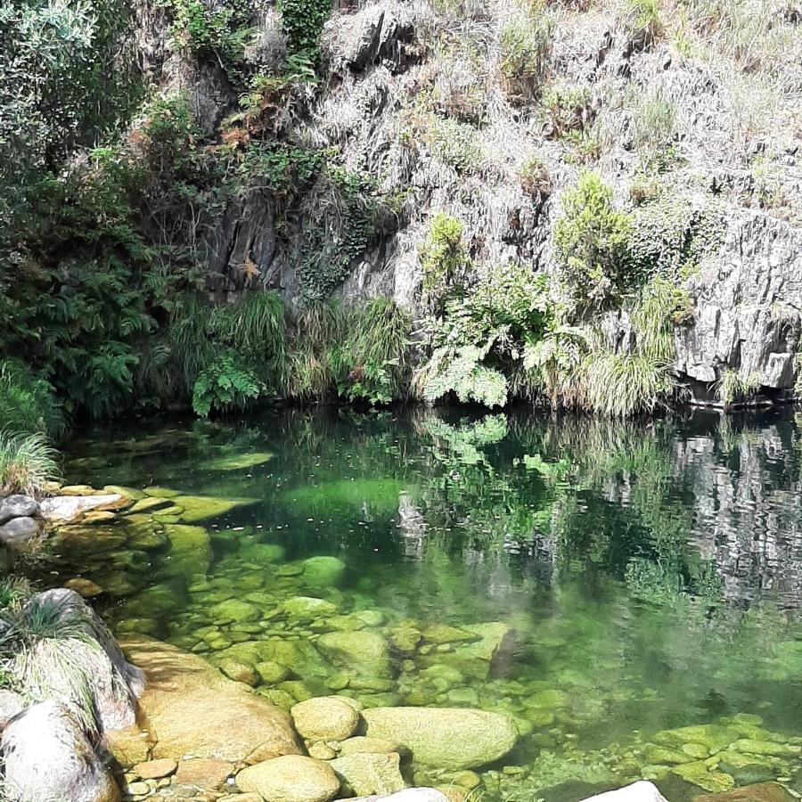 Casinhas Da Eira Caramulo Turismo Rural Arca المظهر الخارجي الصورة
